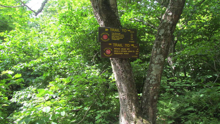 Trail running