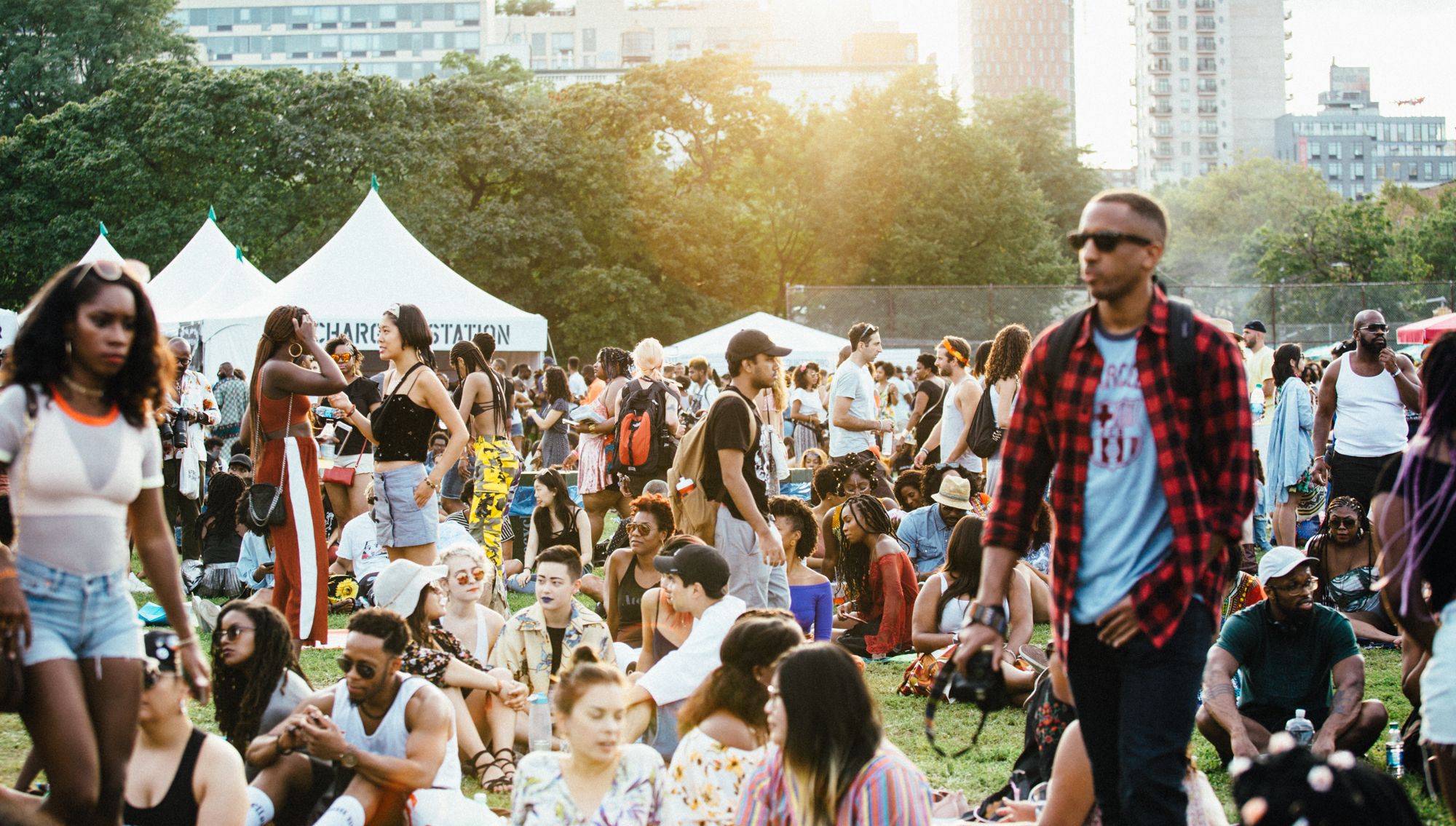 10. Afropunk Fest Brooklyn
