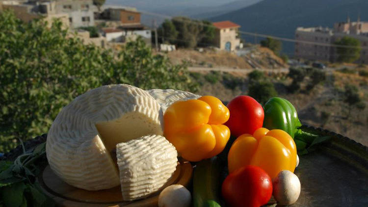 HaMeiri Cheese Shop