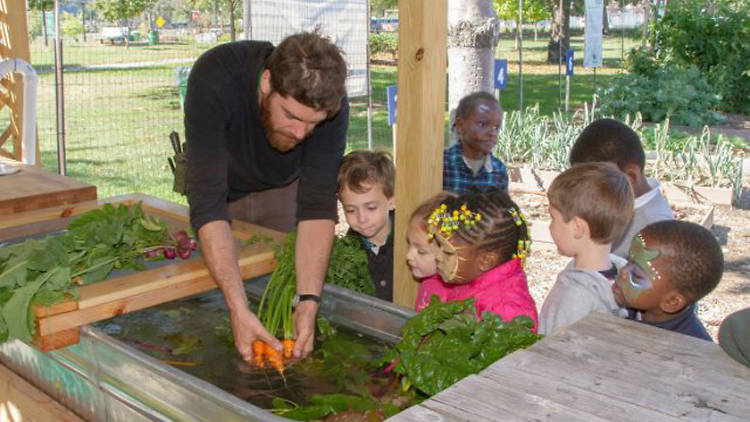 Harvest Festival at Randall's Island Park