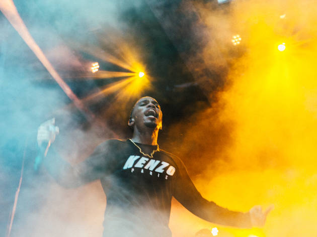 Afropunk Brooklyn 2017 Afropunk Brooklyn 2017