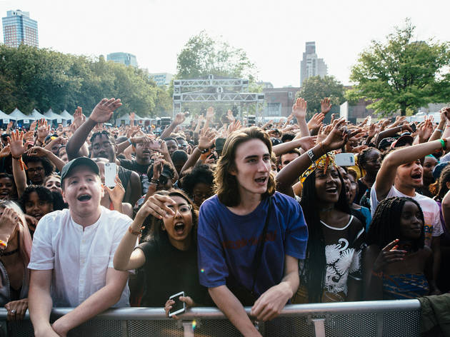 Afropunk Brooklyn 2017 Afropunk Brooklyn 2017