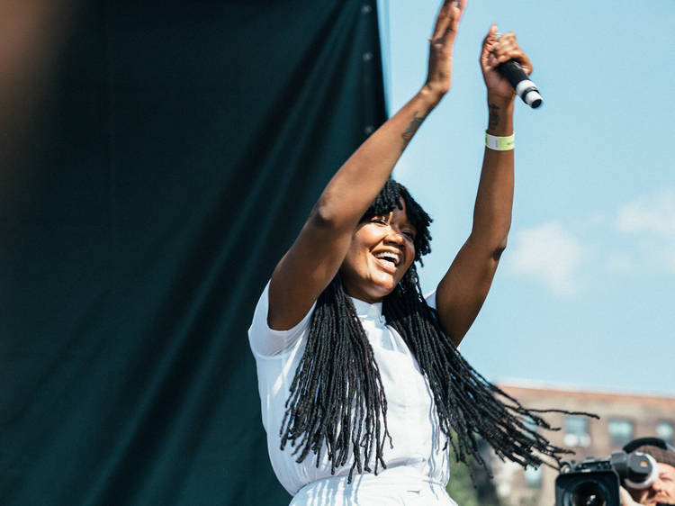 Afropunk Brooklyn 2019 Full Lineup