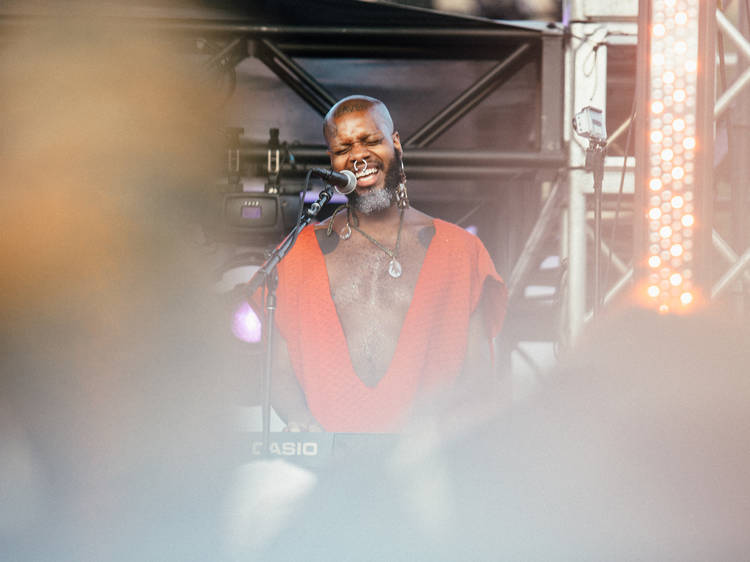 Afropunk Music Festival