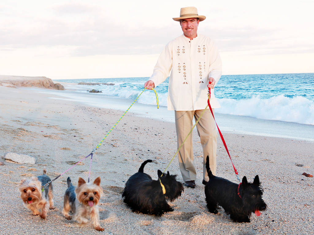 Five dogfriendly hotels you should visit with your pooch Time Out