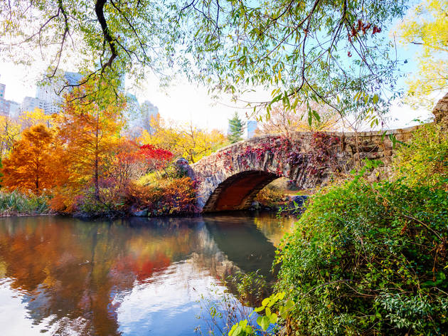 53 fantastic things to do in NYC in September