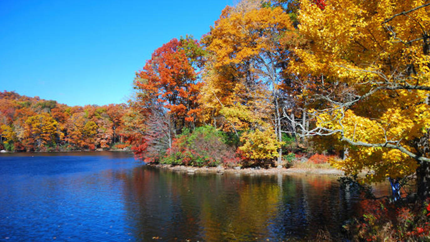 Bear Mountain FullDay Cruise Things to do in New York