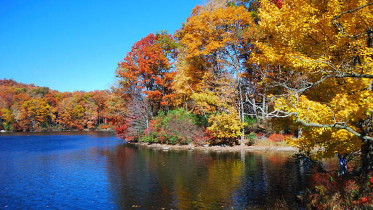 Bear Mountain State Park fall foliage cruise