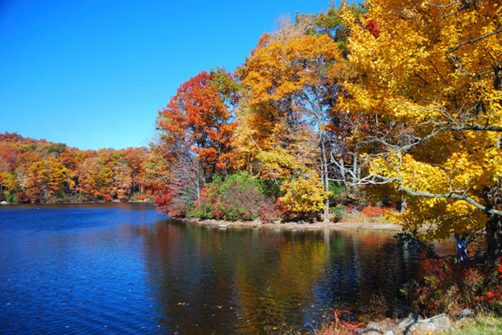 Wonderful Fall Day Trips From NYC For Apple Picking And More