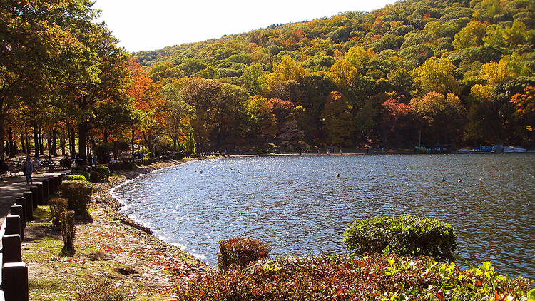 Bear Mountain State Park