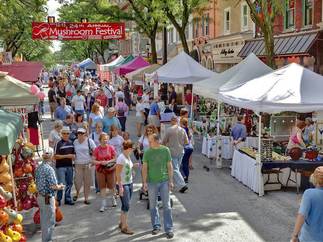 kennett square mushroom festival kennett square mushroom festival