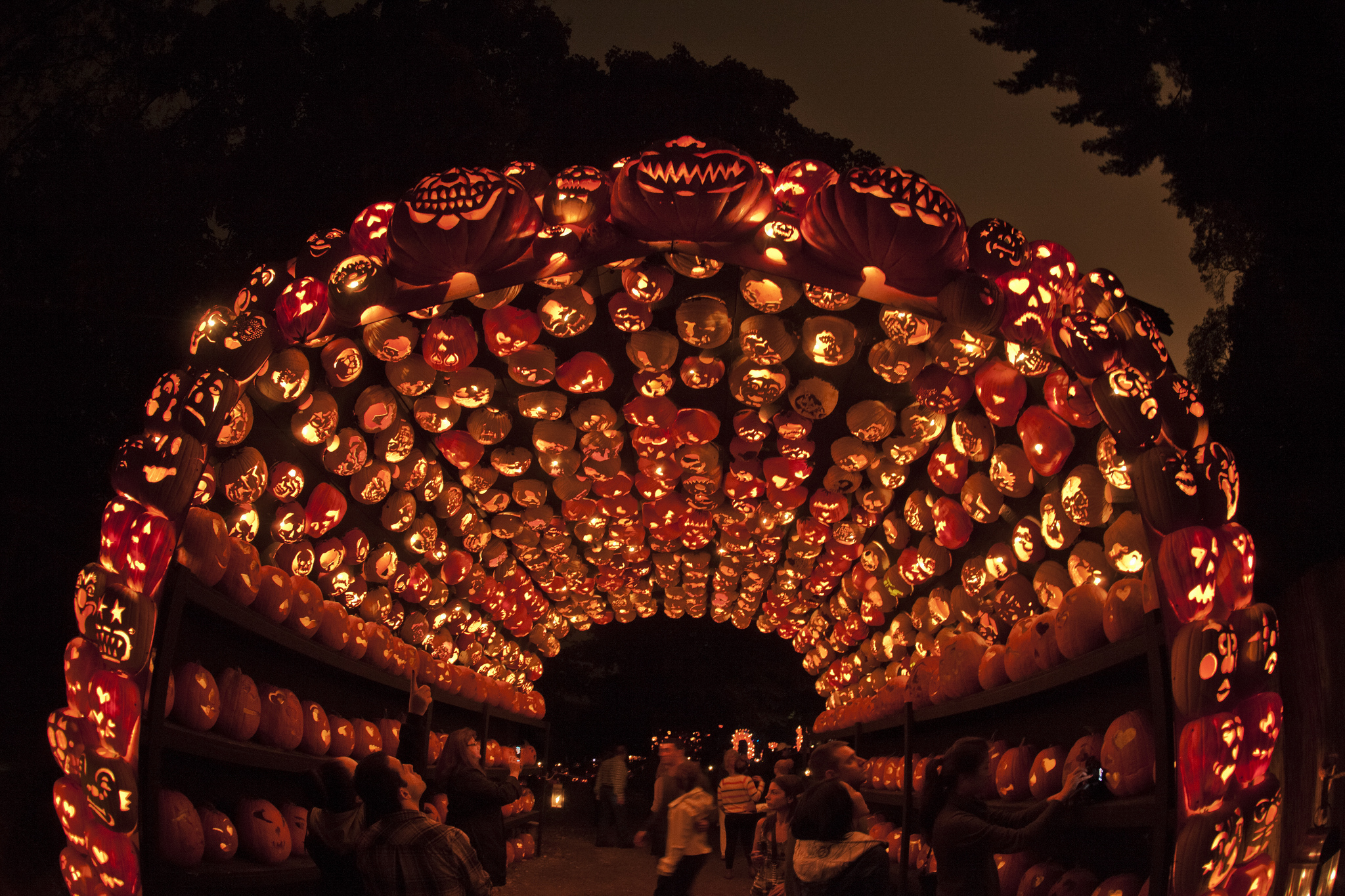 jack o lantern blaze