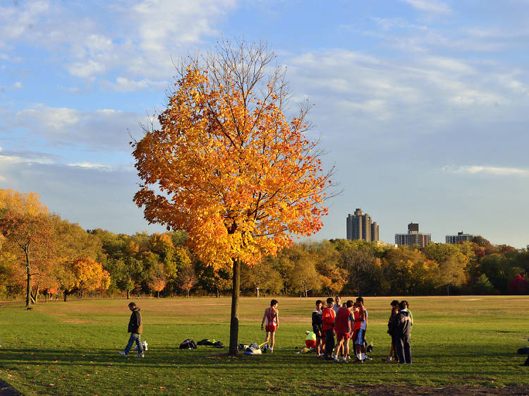 Van Cortlandt Park