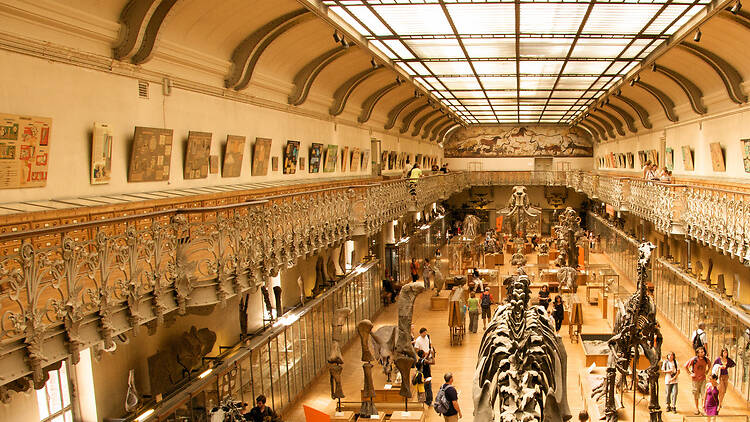 Zooarchaeological stroll through the Grande Galerie de l'Evolution