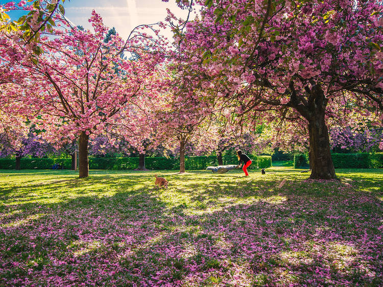 17 Paris tourist attractions that locals love