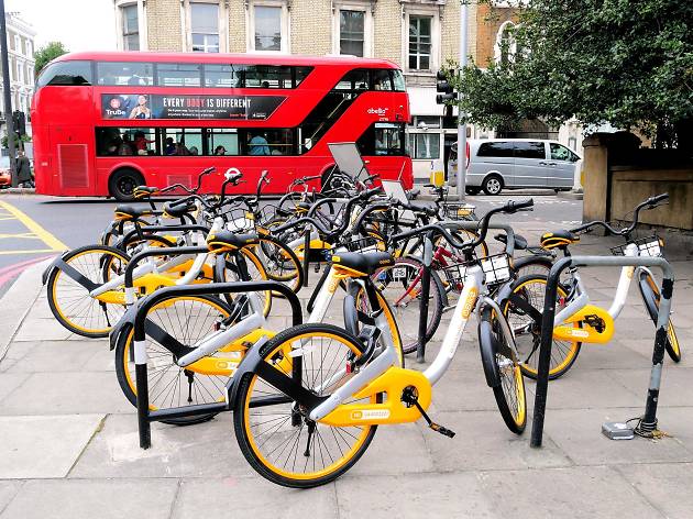 ofo bike hire