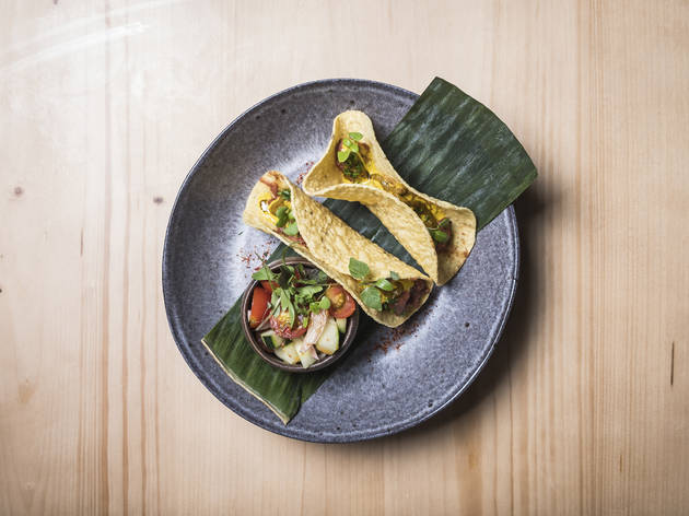tacos do soi tacos do soi