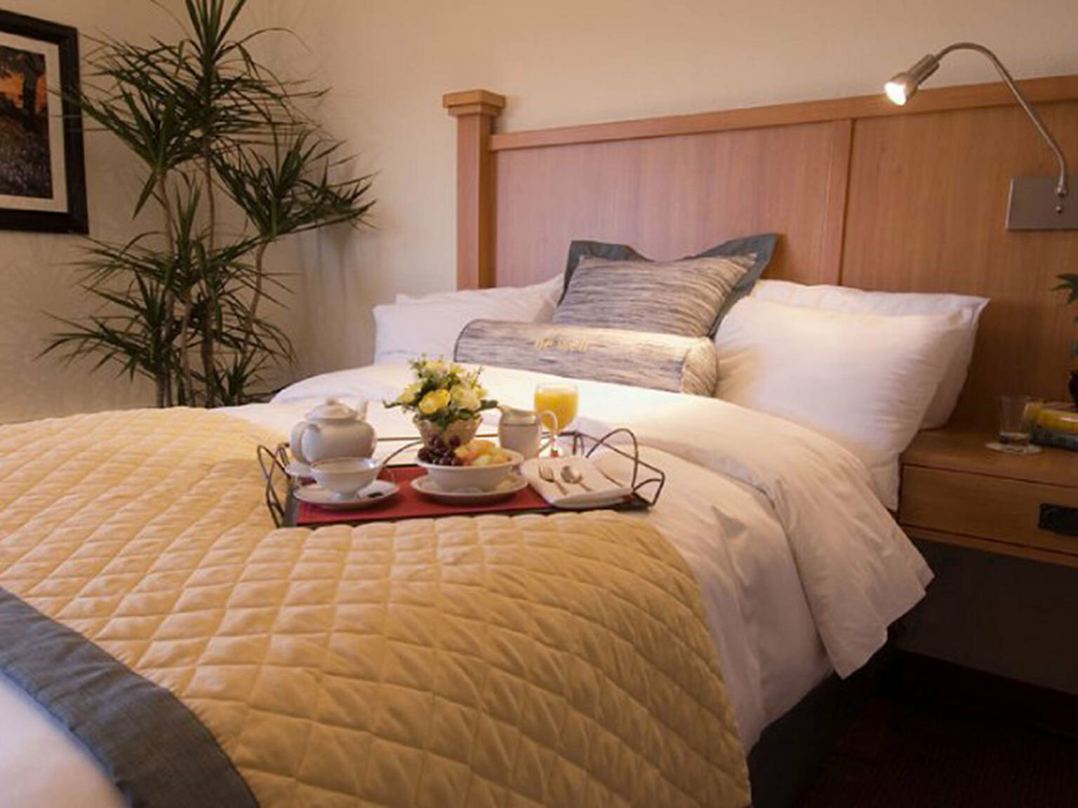 The Best Cheap Hotels in Austin, Texas for Affordable Stays