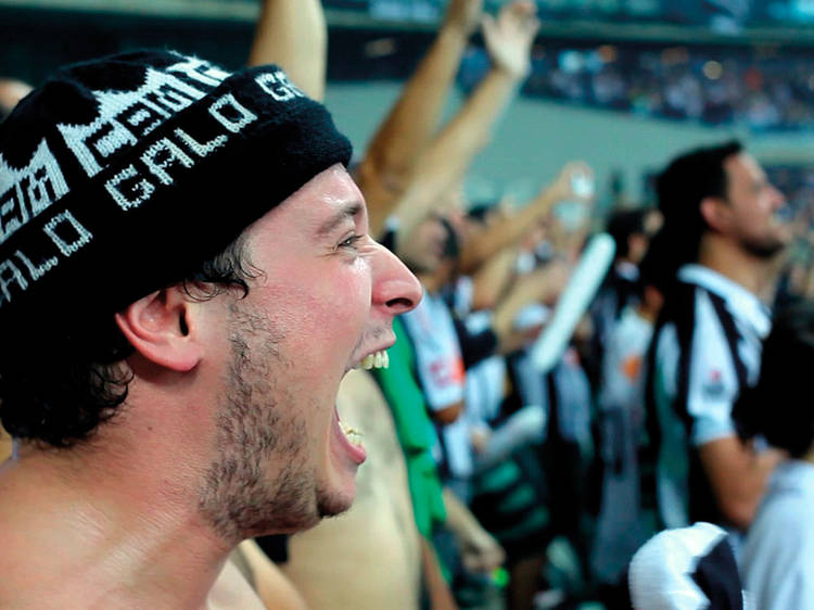 Dia do Galo