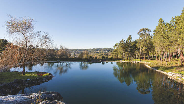 colina dos piscos