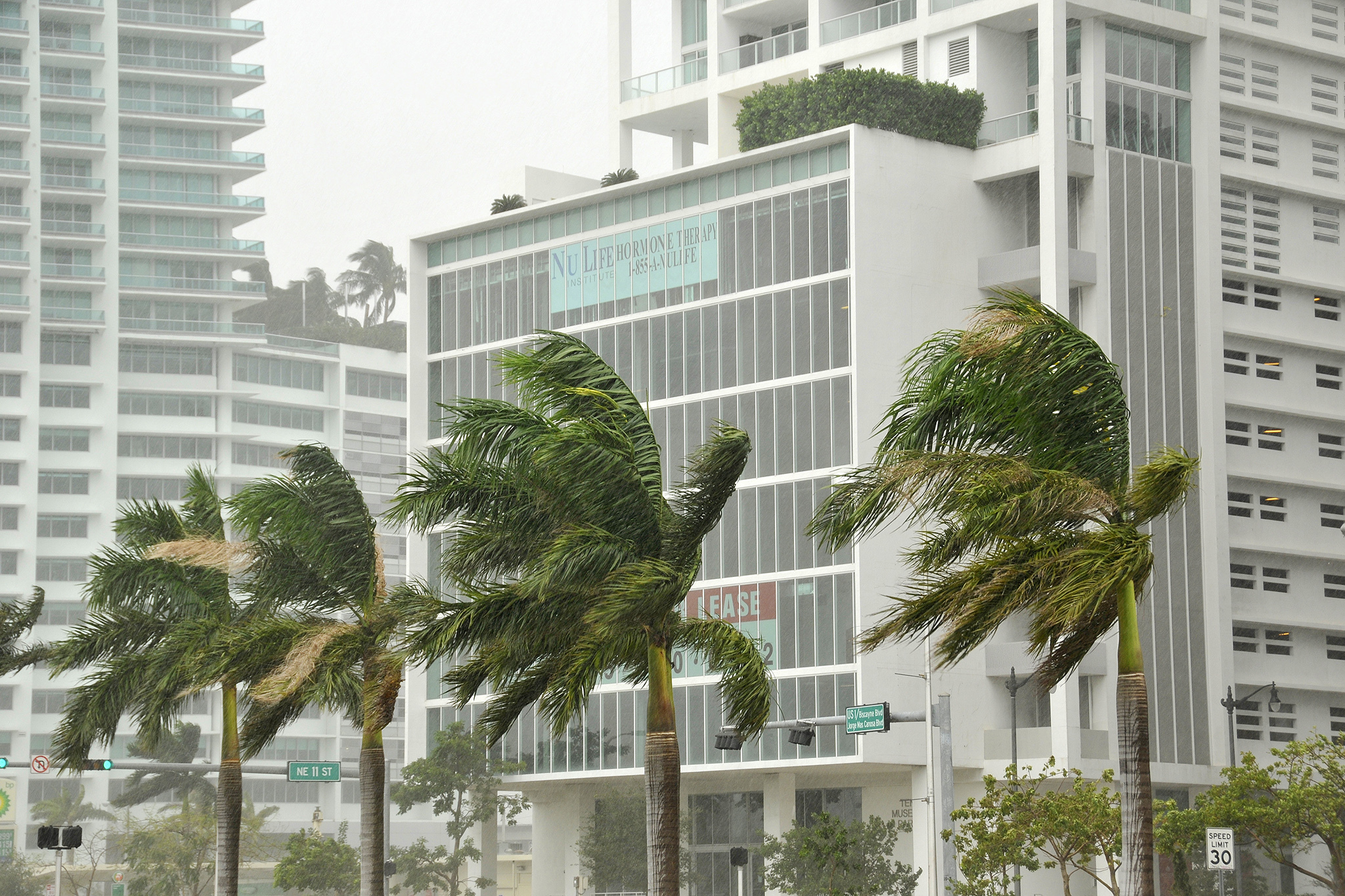 Miami could be getting massive walls to protect it from storm surge ...