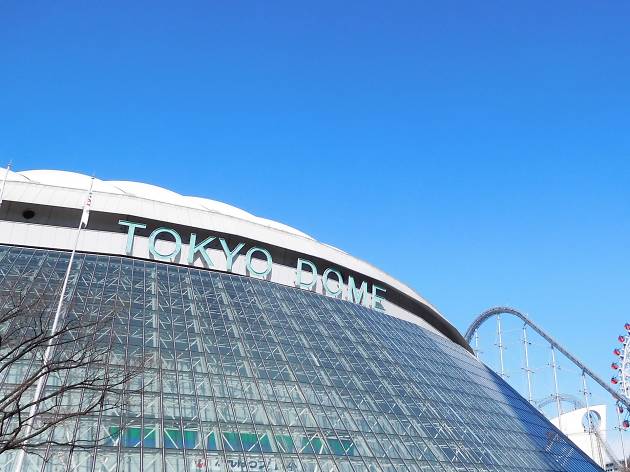 東京ドーム 東京ドーム