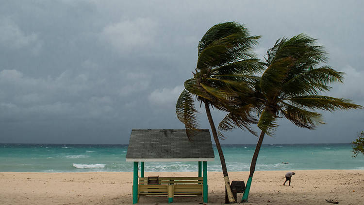 Hurricane in the Caribbean