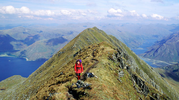 If you’re a sucker for Richmond Park… Hang out with wild deer in Knoydart 