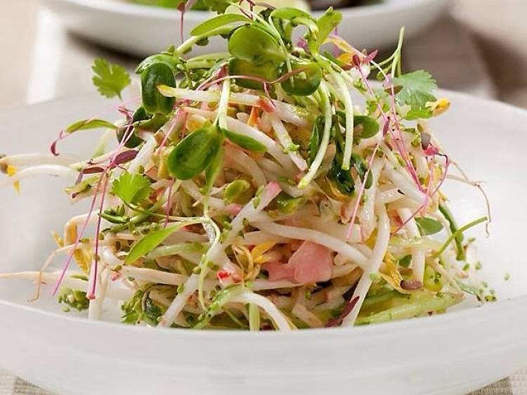 Healthy Buddha Salad - Zepra