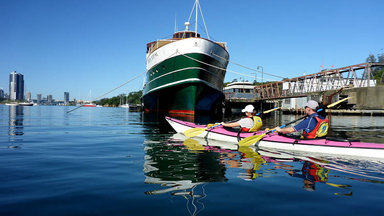 Kayakers on Sydney Harbour