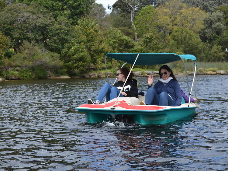 Parramatta Rowboats