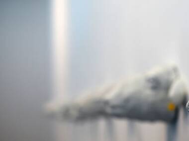 Investigate contemporary art Investigate contemporary art