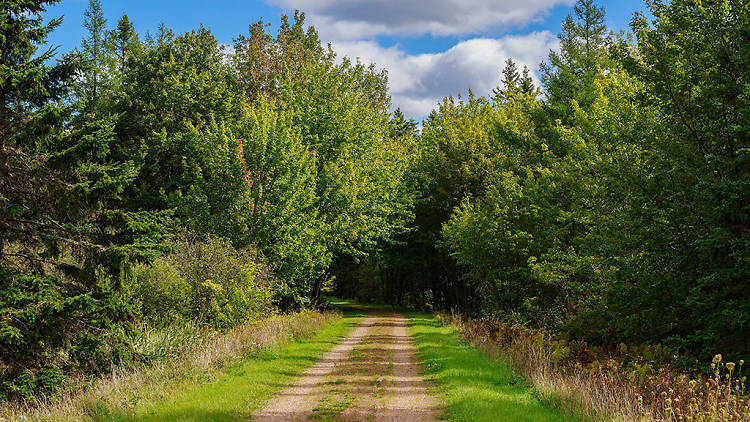 The longest hiking clearance trail in the world