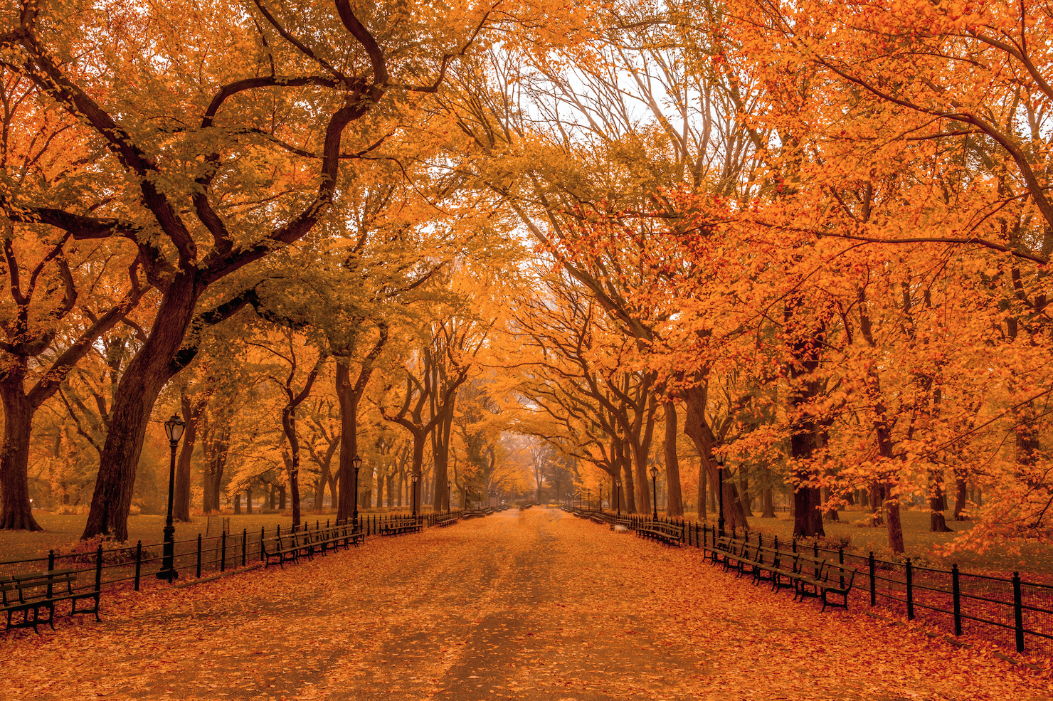 Best fall foliage in New York from Central Park to the Catskills