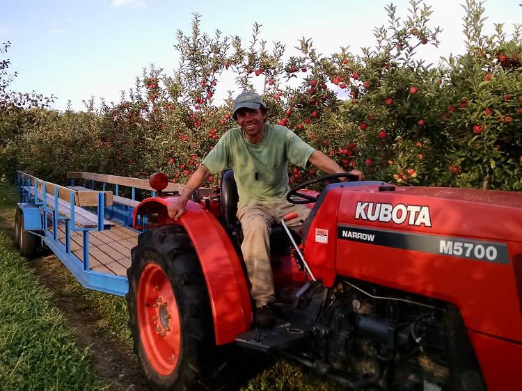 Solebury Orchards