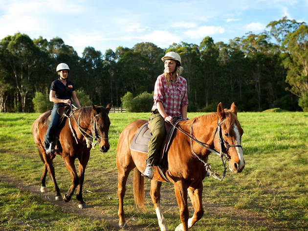 Horse riding in Campbelltown People horse riding