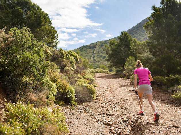 Trail Running Trail Running
