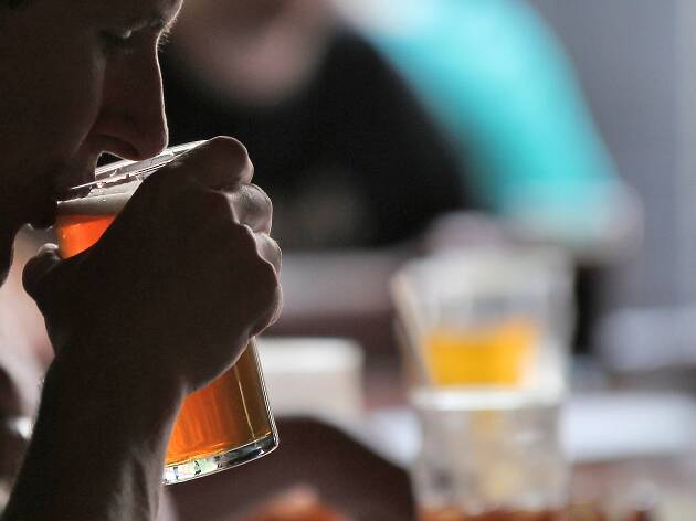 beber cerveja beber cerveja
