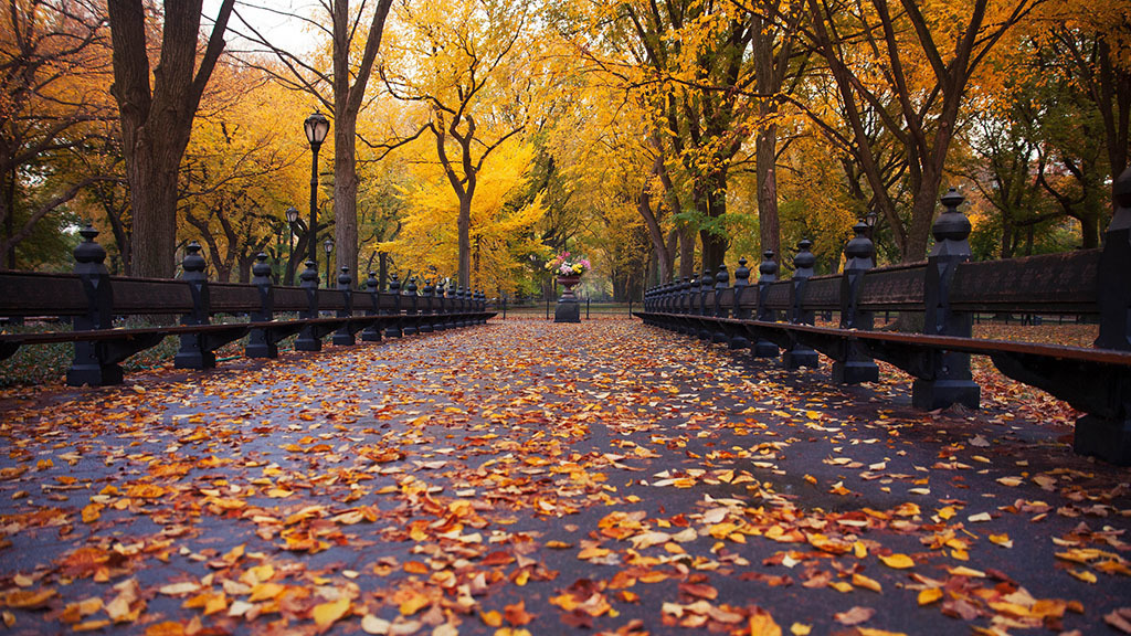 25-beautiful-photos-of-fall-in-nyc