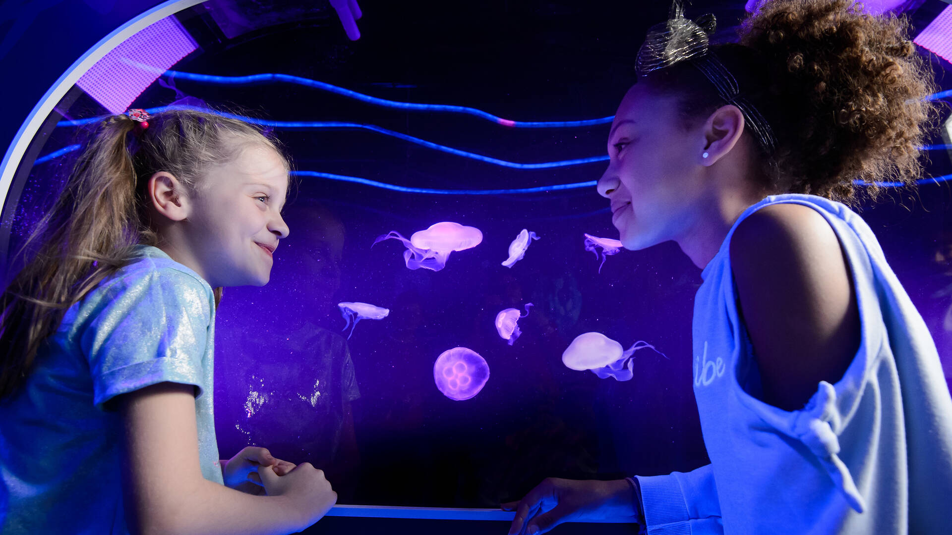 SEA LIFE London Aquarium | Tickets, facts, deals and general info ...