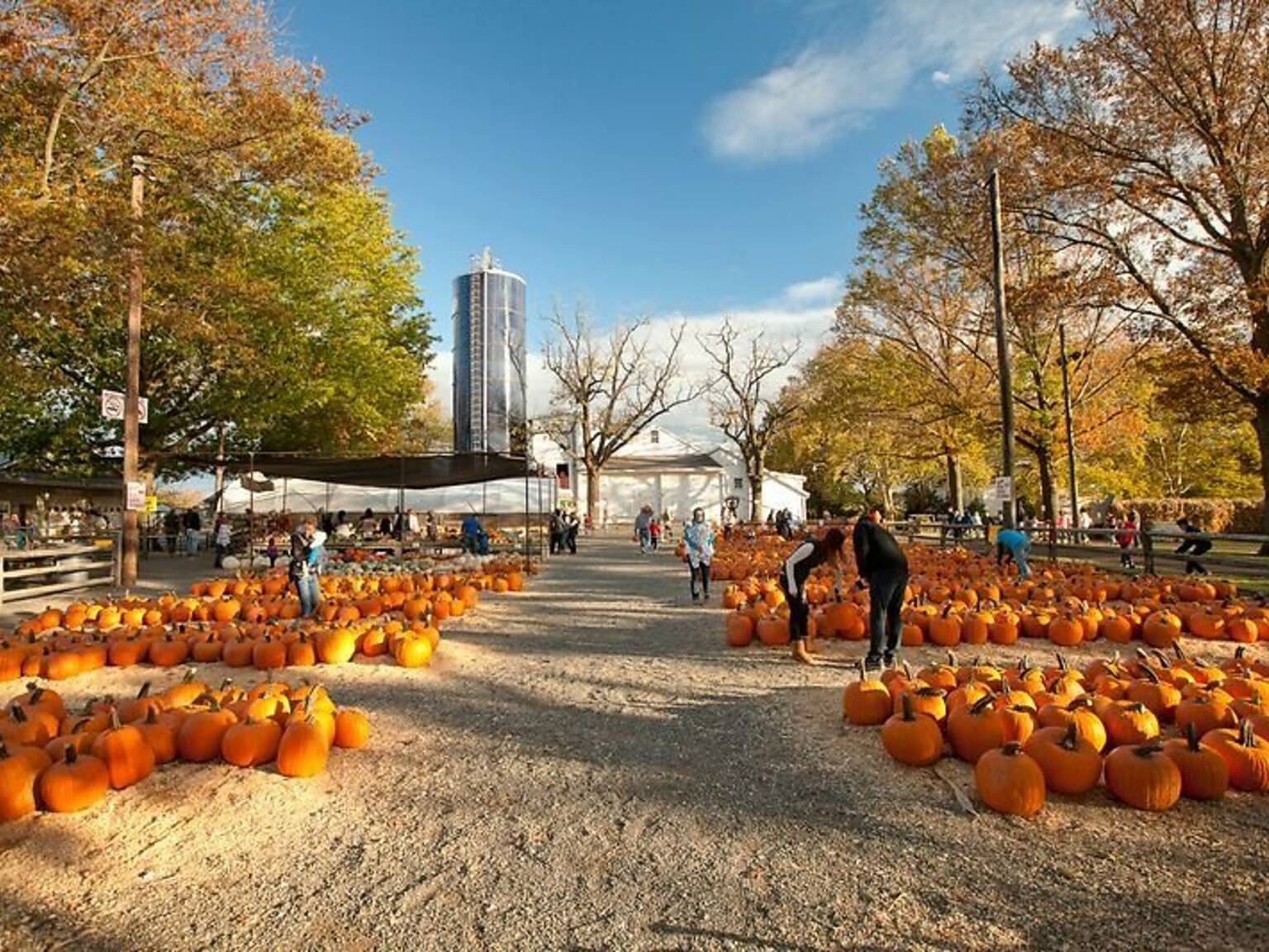 THE BEST THINGS TO DO IN PHILADELPHIA visual data 8