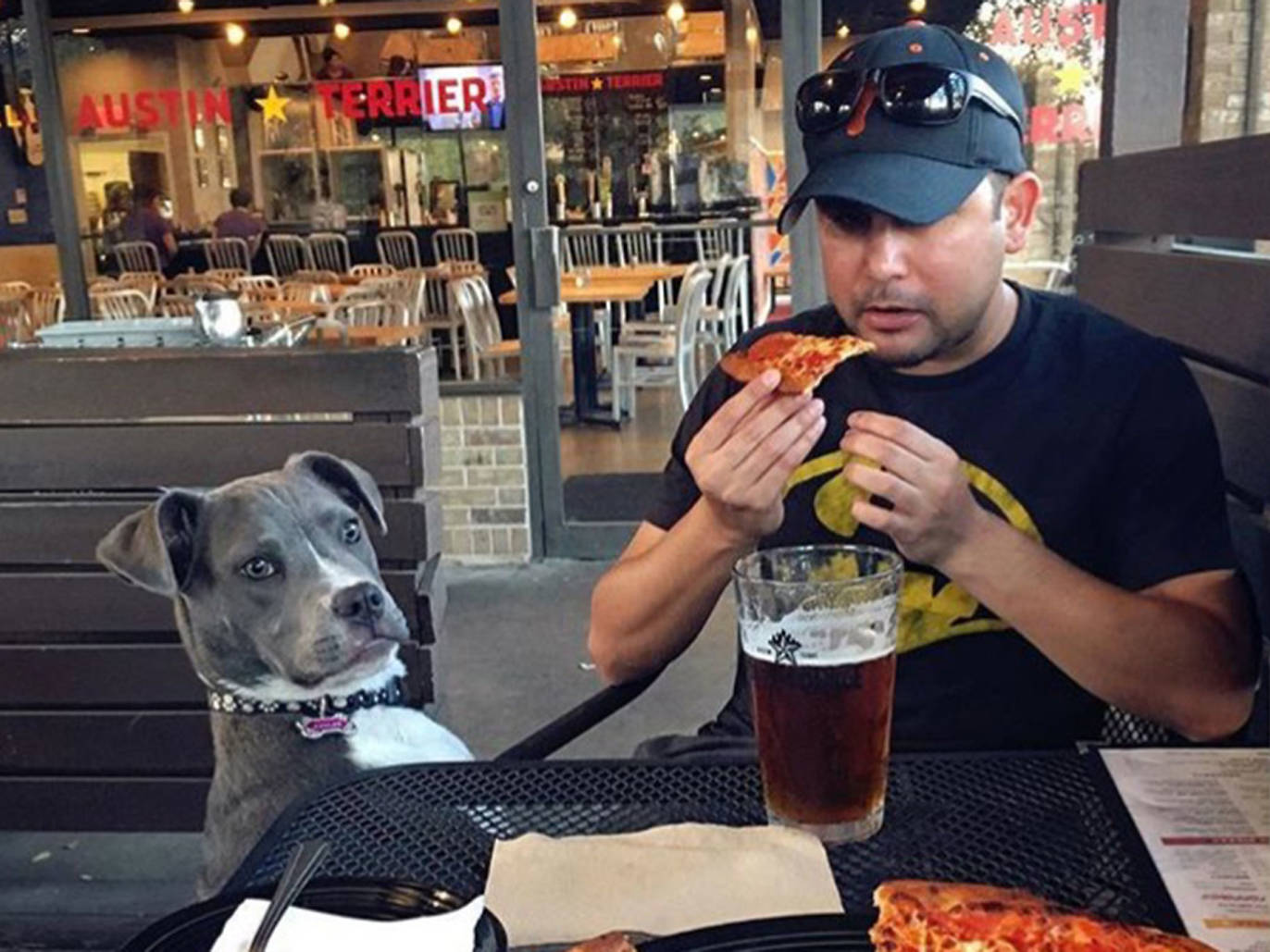 Best dogfriendly restaurants in Austin to take your pup on a date