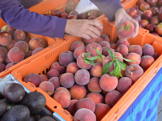 Parramatta Farmers' Markets Peaches in a tray at Parramatta Farmers' Markets