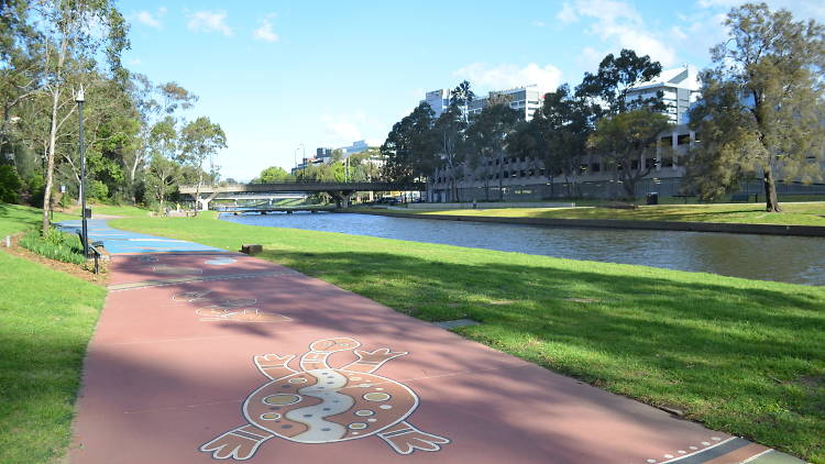 Parramatta River Foreshore Walk