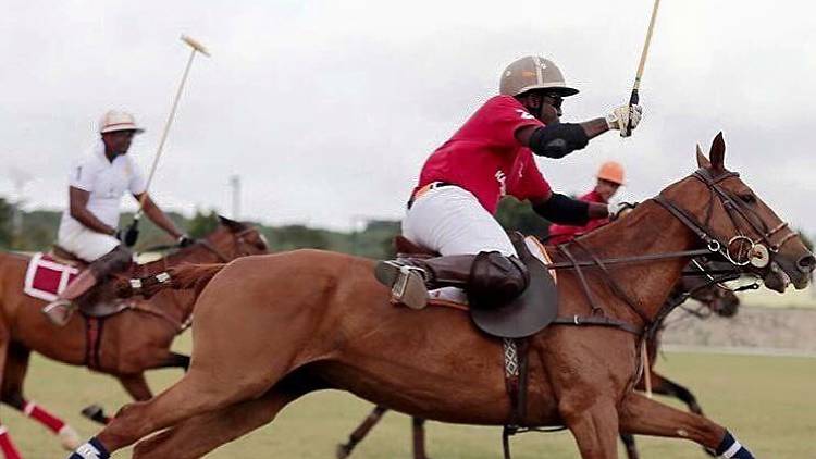 Hear the thundering of hooves at Accra Polo Club