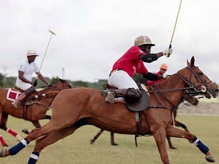 Hear the thundering of hooves at Accra Polo Club