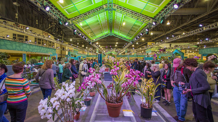 Philadelphia Flower Show