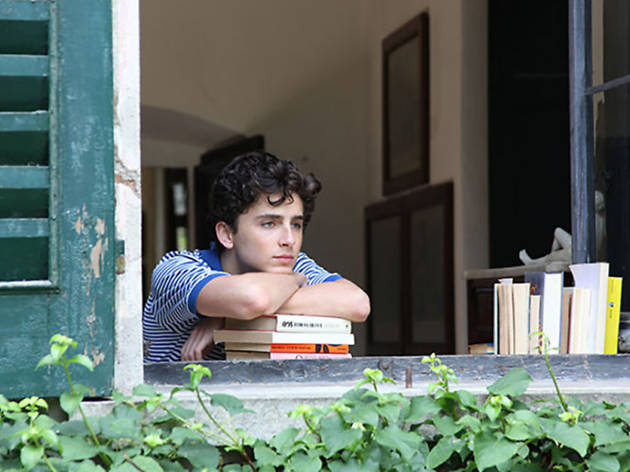 Image result for call me by your name