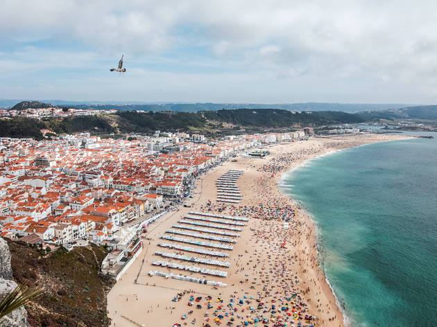 Praia do Norte Nazaré - Visto do Sítio