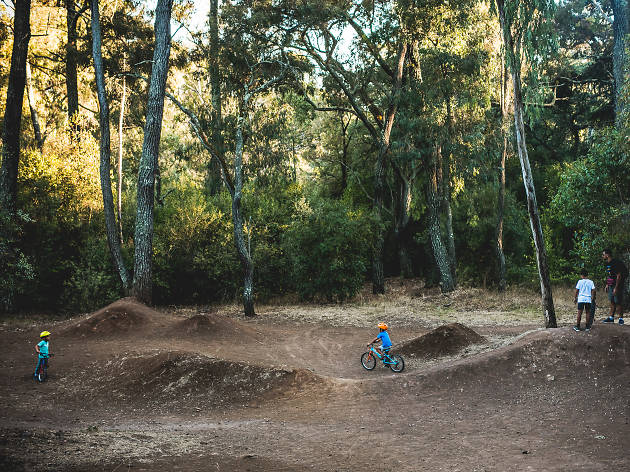 BMX Monsanto BMX Monsanto